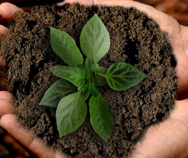 Building a Sustainable Business Model